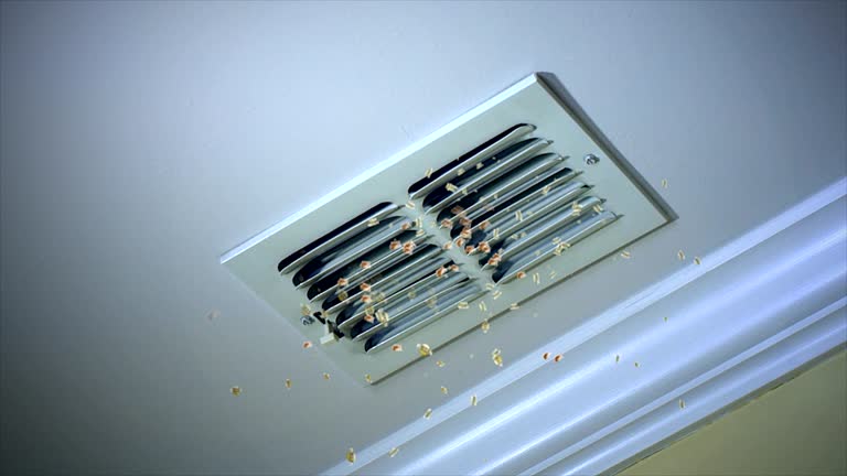 Best Commercial Air Duct Cleaning  in Jemison, AL